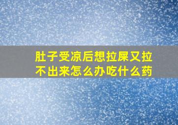 肚子受凉后想拉屎又拉不出来怎么办吃什么药