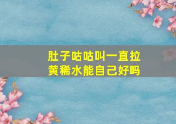 肚子咕咕叫一直拉黄稀水能自己好吗