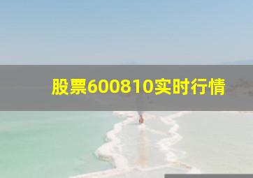 股票600810实时行情