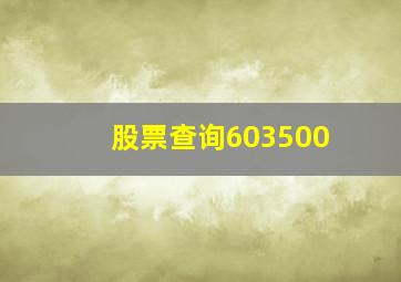 股票查询603500