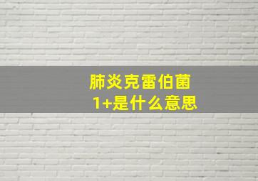 肺炎克雷伯菌1+是什么意思