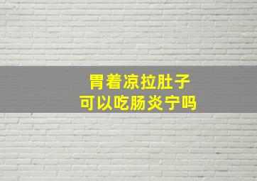 胃着凉拉肚子可以吃肠炎宁吗