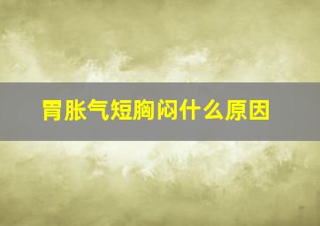 胃胀气短胸闷什么原因