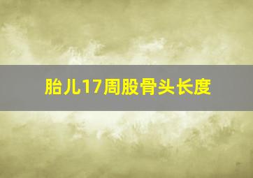 胎儿17周股骨头长度