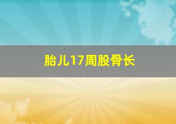 胎儿17周股骨长