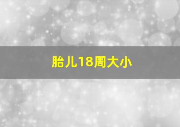 胎儿18周大小