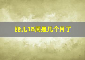 胎儿18周是几个月了