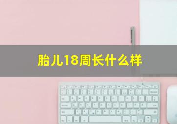 胎儿18周长什么样