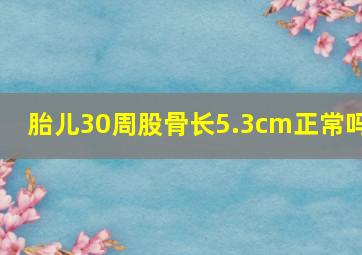 胎儿30周股骨长5.3cm正常吗