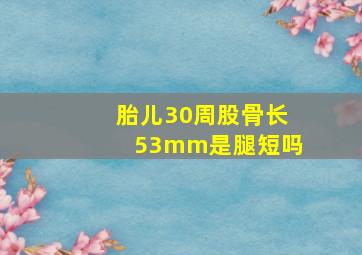 胎儿30周股骨长53mm是腿短吗