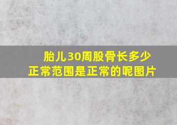 胎儿30周股骨长多少正常范围是正常的呢图片