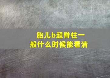 胎儿b超脊柱一般什么时候能看清