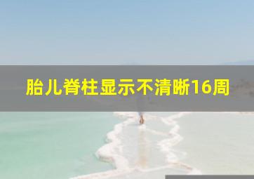 胎儿脊柱显示不清晰16周