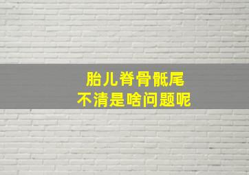 胎儿脊骨骶尾不清是啥问题呢