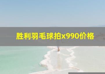 胜利羽毛球拍x990价格