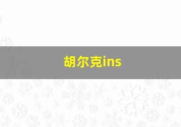 胡尔克ins