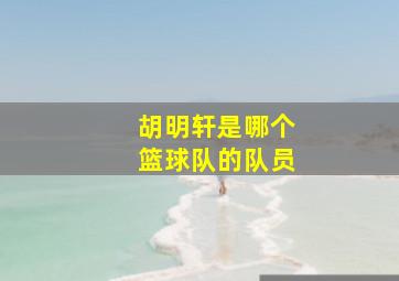 胡明轩是哪个篮球队的队员