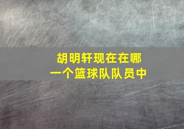 胡明轩现在在哪一个篮球队队员中