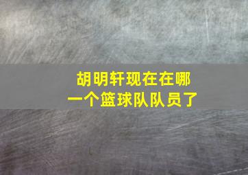 胡明轩现在在哪一个篮球队队员了