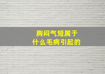 胸闷气短属于什么毛病引起的