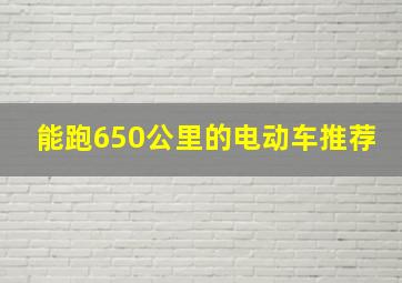 能跑650公里的电动车推荐