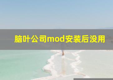 脑叶公司mod安装后没用