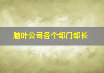 脑叶公司各个部门部长