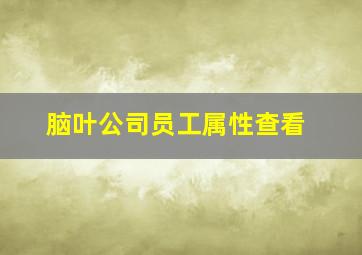 脑叶公司员工属性查看