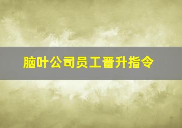 脑叶公司员工晋升指令