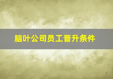 脑叶公司员工晋升条件