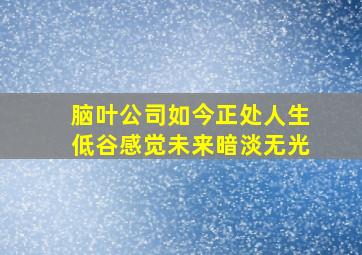 脑叶公司如今正处人生低谷感觉未来暗淡无光