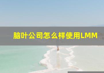 脑叶公司怎么样使用LMM