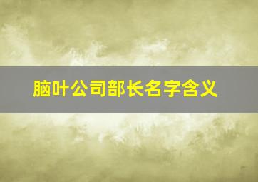 脑叶公司部长名字含义