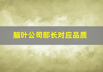 脑叶公司部长对应品质