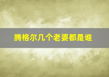 腾格尔几个老婆都是谁