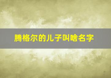 腾格尔的儿子叫啥名字