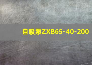 自吸泵ZXB65-40-200