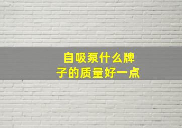 自吸泵什么牌子的质量好一点