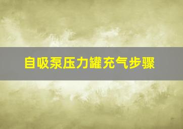 自吸泵压力罐充气步骤