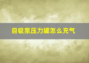 自吸泵压力罐怎么充气