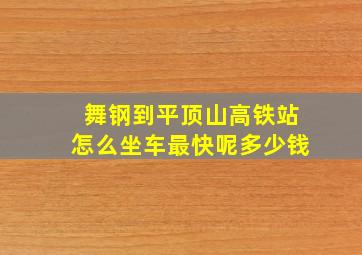 舞钢到平顶山高铁站怎么坐车最快呢多少钱