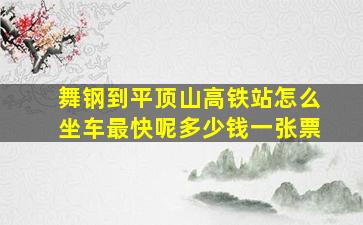 舞钢到平顶山高铁站怎么坐车最快呢多少钱一张票