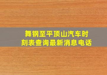 舞钢至平顶山汽车时刻表查询最新消息电话