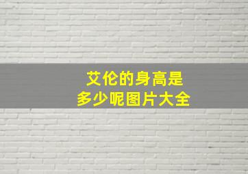 艾伦的身高是多少呢图片大全