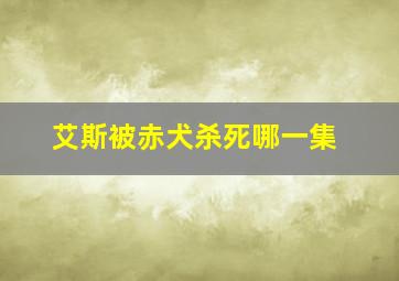 艾斯被赤犬杀死哪一集