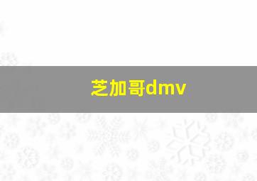 芝加哥dmv