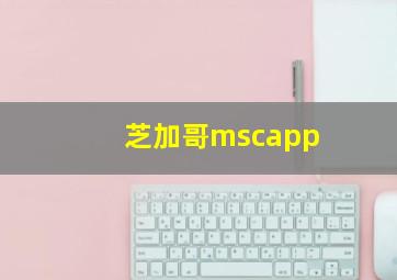 芝加哥mscapp