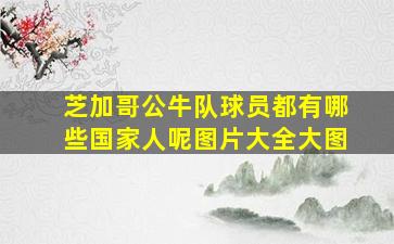 芝加哥公牛队球员都有哪些国家人呢图片大全大图