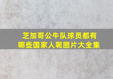 芝加哥公牛队球员都有哪些国家人呢图片大全集