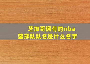 芝加哥拥有的nba篮球队队名是什么名字